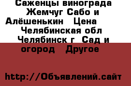 Саженцы винограда Жемчуг Сабо и Алёшенькин › Цена ­ 150 - Челябинская обл., Челябинск г. Сад и огород » Другое   